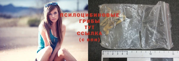 PSILOCYBIN Балабаново