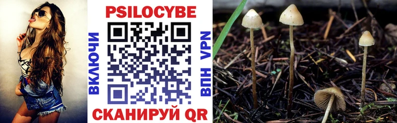 Галлюциногенные грибы ЛСД как найти закладки Похвистнево